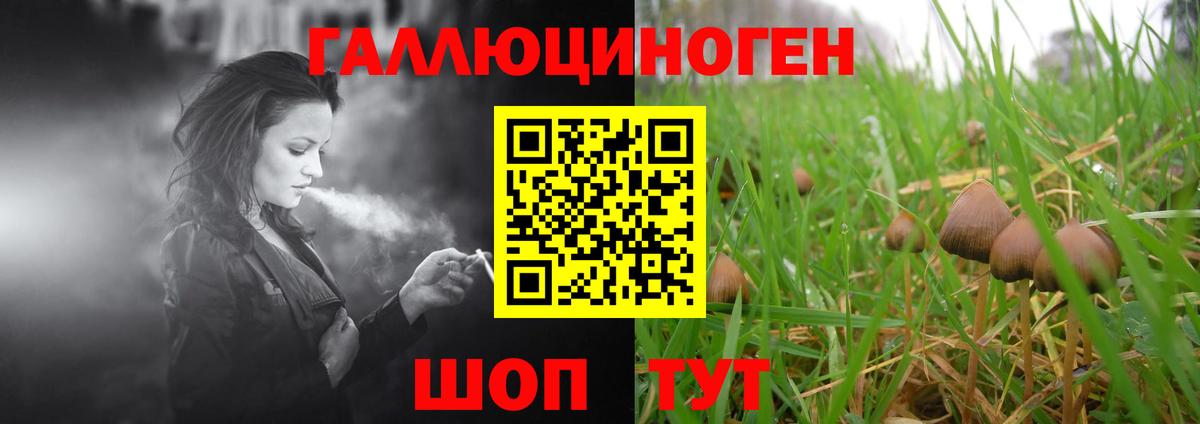 Псилоцибиновые грибы Psilocybe  Вход с VPN  Тулун 